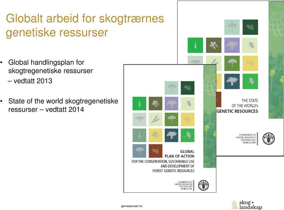 skogtregenetiske ressurser vedtatt 2013