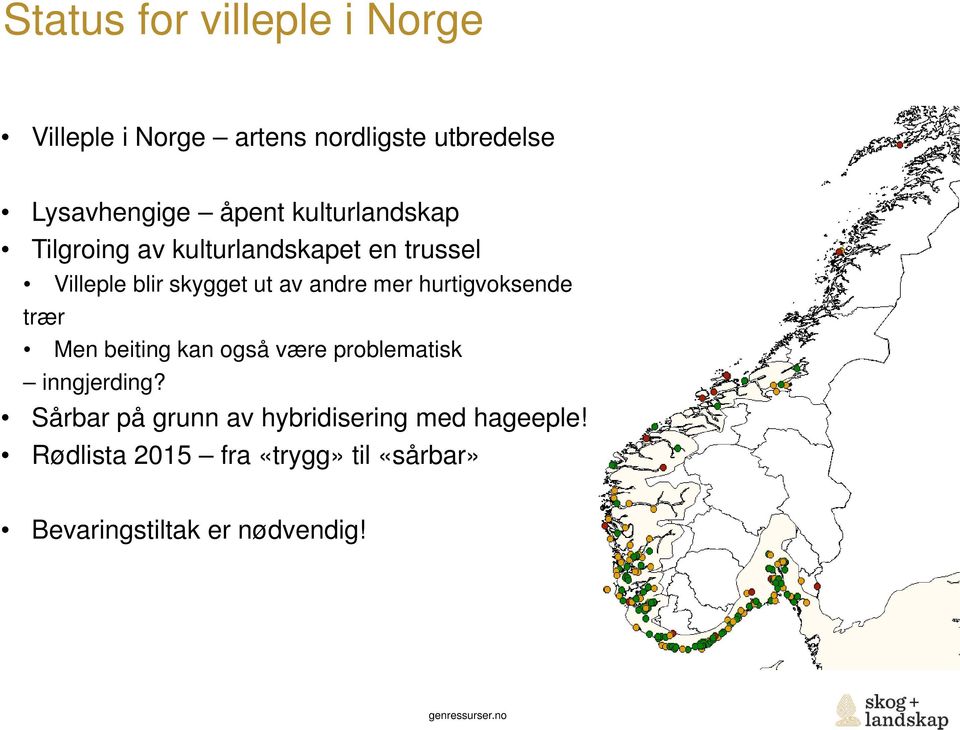 hurtigvoksende trær Men beiting kan også være problematisk inngjerding?