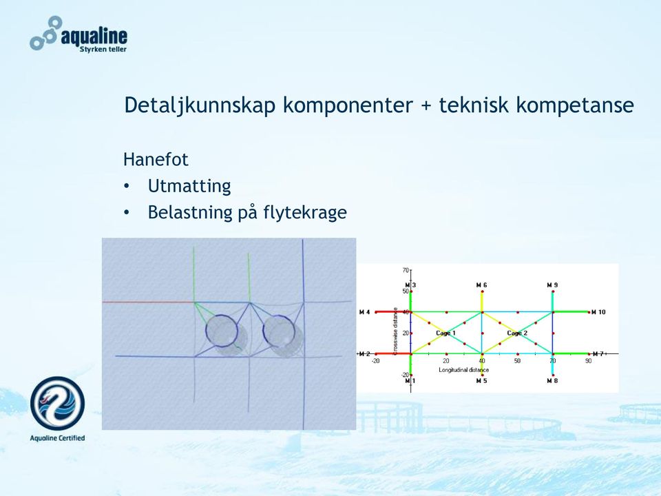 kompetanse Hanefot