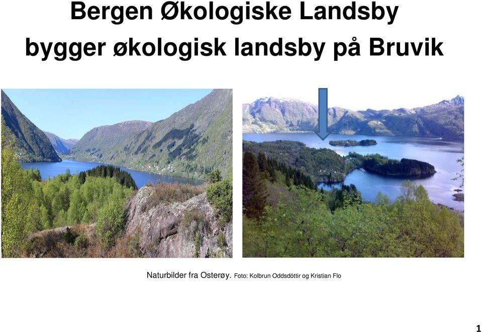 Bruvik Naturbilder fra Osterøy.