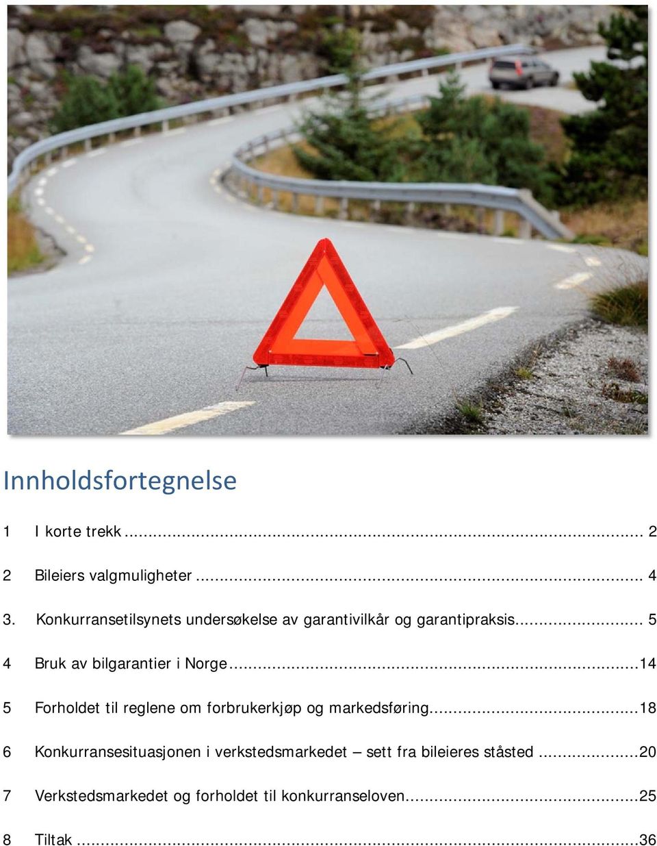 .. 5 4 Bruk av bilgarantier i Norge... 14 5 Forholdet til reglene om forbrukerkjøp og markedsføring.