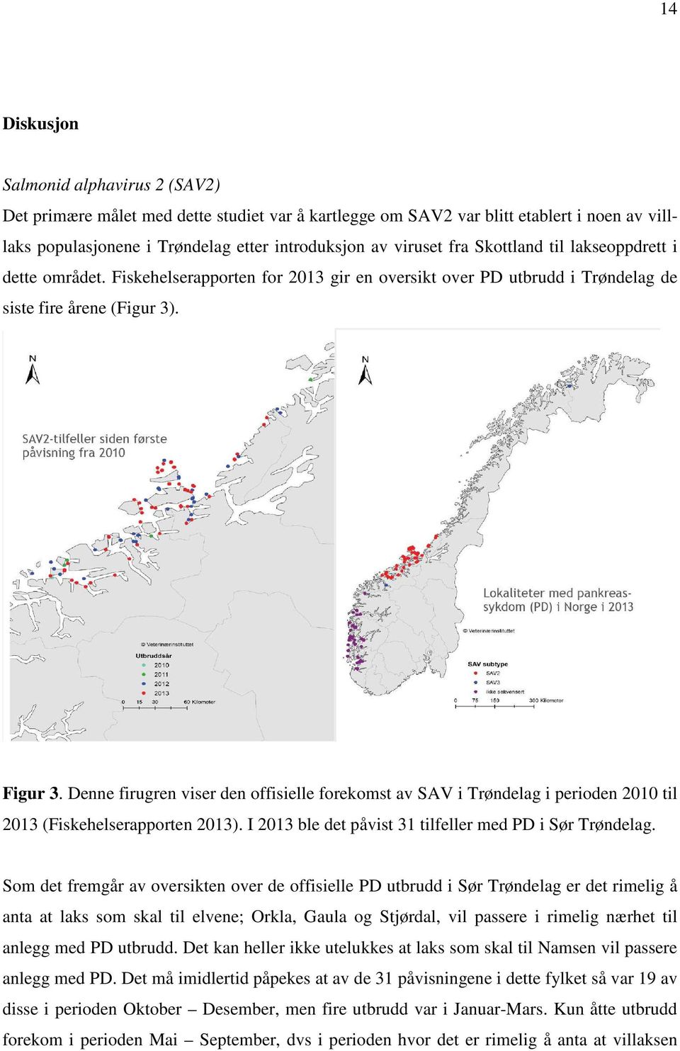 Denne firugren viser den offisielle forekomst av SAV i Trøndelag i perioden 2010 til 2013 (Fiskehelserapporten 2013). I 2013 ble det påvist 31 tilfeller med PD i Sør Trøndelag.