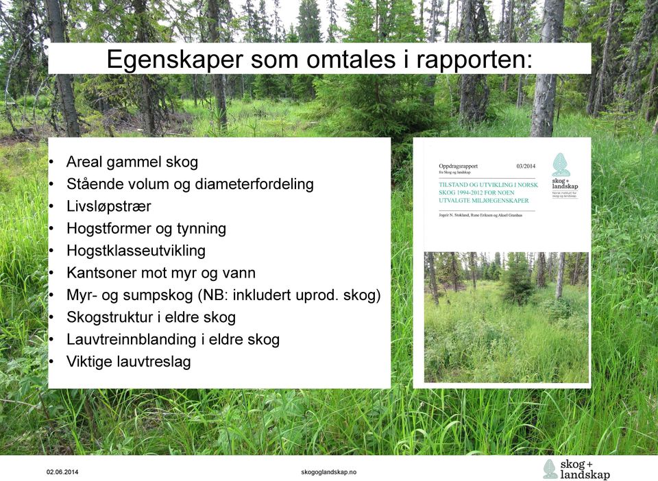 Hogstklasseutvikling Kantsoner mot myr og vann Myr- og sumpskog (NB: