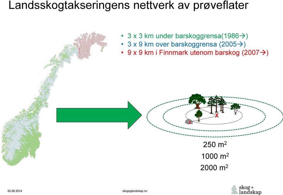 over barskoggrensa (2005 ) 9 x 9 km i Finnmark