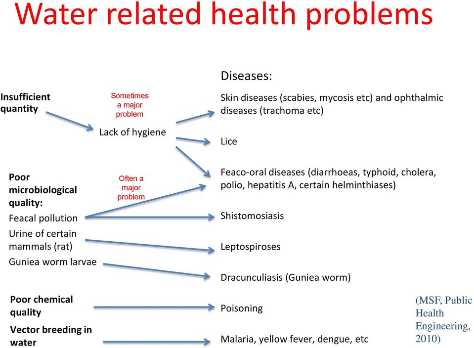 major problem Feaco-oral diseases (diarrhoeas, typhoid, cholera, polio, hepatitis A, certain helminthiases) Shistomosiasis Leptospiroses