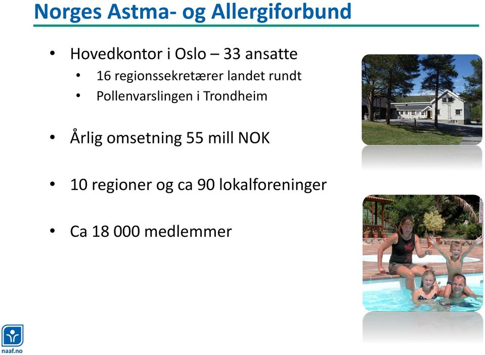 Pollenvarslingen i Trondheim Årlig omsetning 55 mill