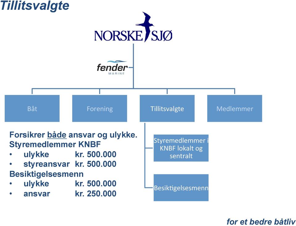 Styremedlemmer KNBF ulykke kr. 500.000 styreansvar kr. 500.000 Besiktigelsesmenn ulykke kr.