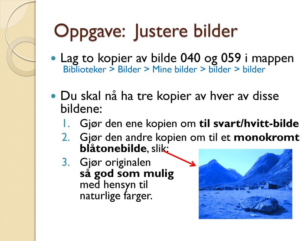 Gjør den ene kopien om til svart/hvitt-bilde 2.