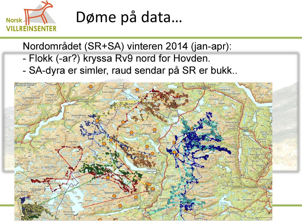 ) kryssa Rv9 nord for Hovden.