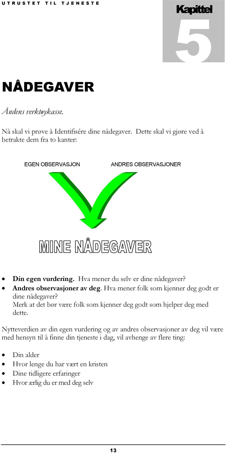 Andres observasjoner av deg. Hva mener folk som kjenner deg godt er dine nådegaver? Merk at det bør være folk som kjenner deg godt som hjelper deg med dette.