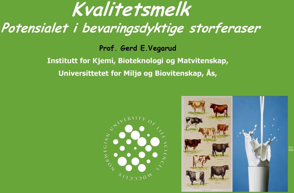 Vegarud Institutt for Kjemi, Bioteknologi og