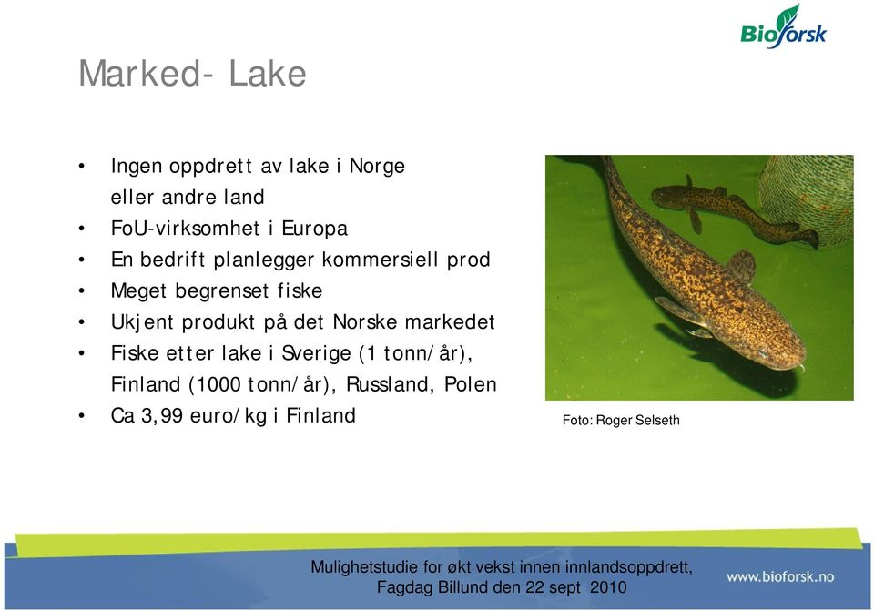 markedet Fiske etter lake i Sverige (1 tonn/år), Finland (1000 tonn/år), Russland, Polen