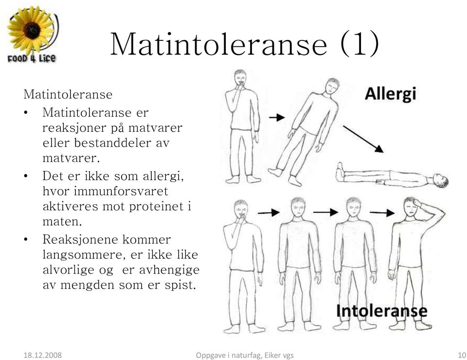 Det er ikke som allergi, hvor immunforsvaret aktiveres mot proteinet i maten.