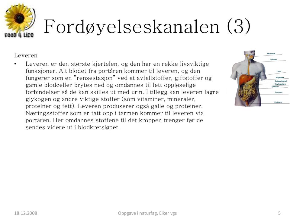 oppløselige forbindelser så de kan skilles ut med urin. I tillegg kan leveren lagre glykogen og andre viktige stoffer (som vitaminer, mineraler, proteiner og fett).