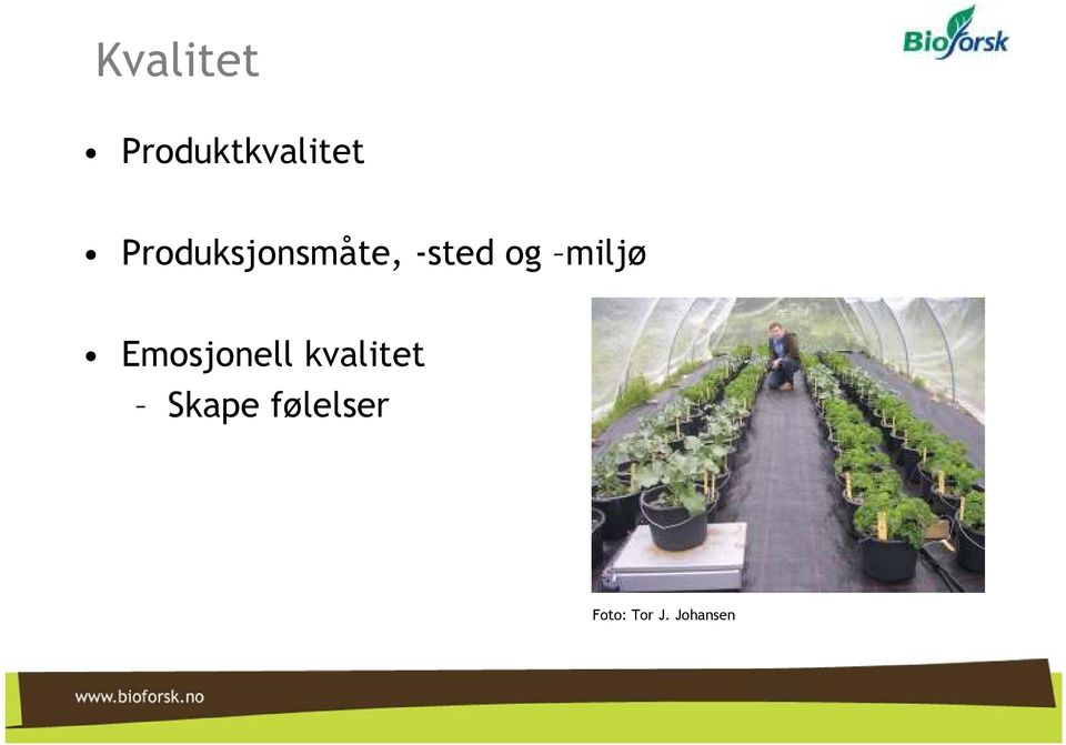 miljø Emosjonell kvalitet