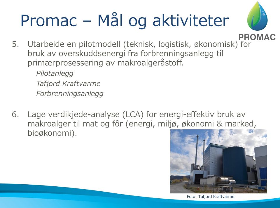 forbrenningsanlegg til primærprosessering av makroalgeråstoff.