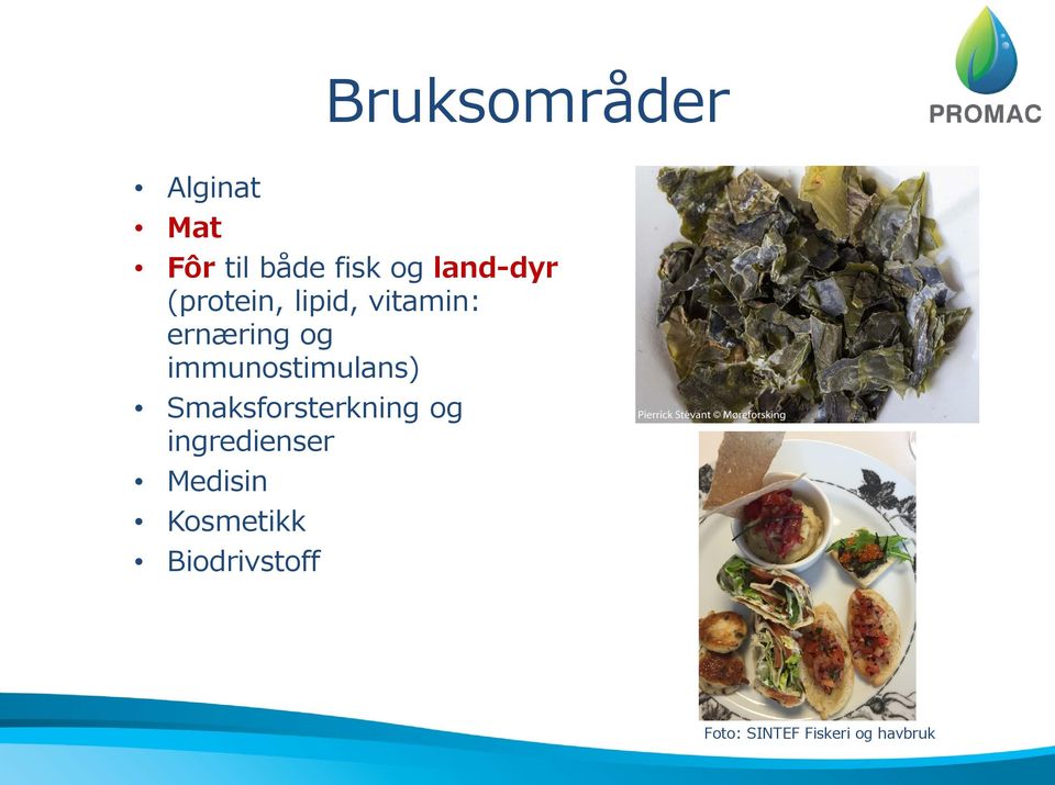 immunostimulans) Smaksforsterkning og ingredienser