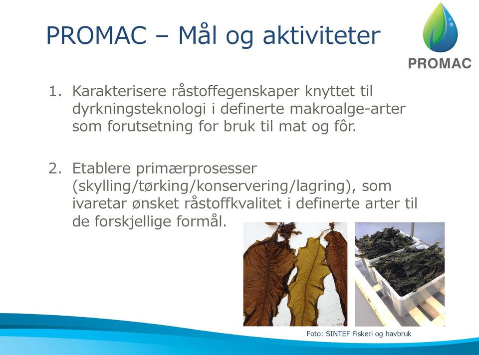 makroalge-arter som forutsetning for bruk til mat og fôr. 2.