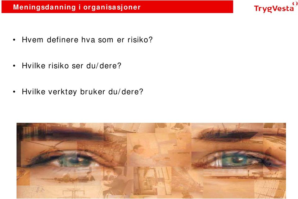 hva som er risiko?