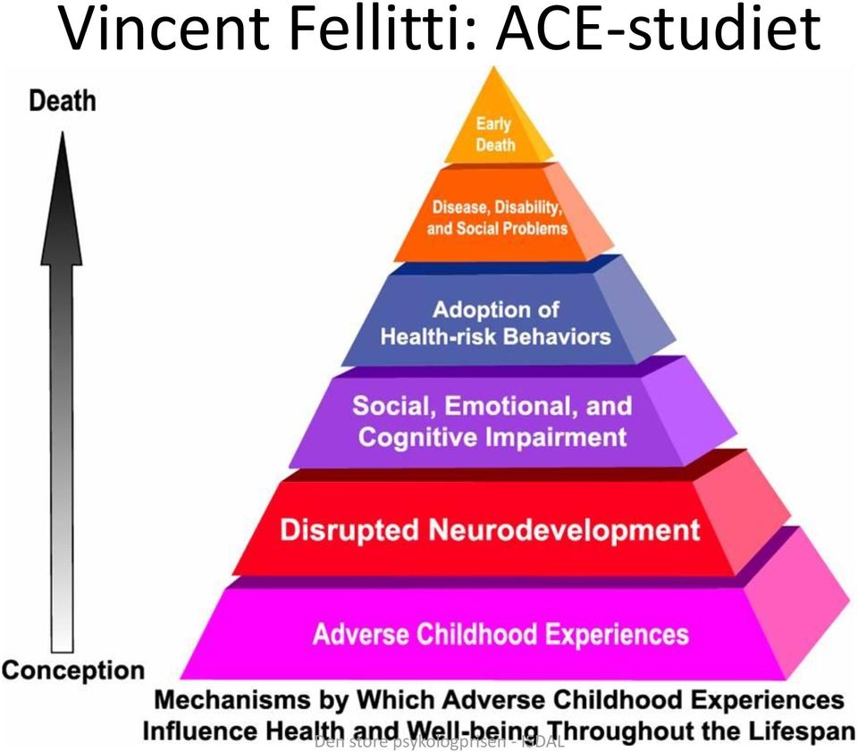 ACE-studiet Den