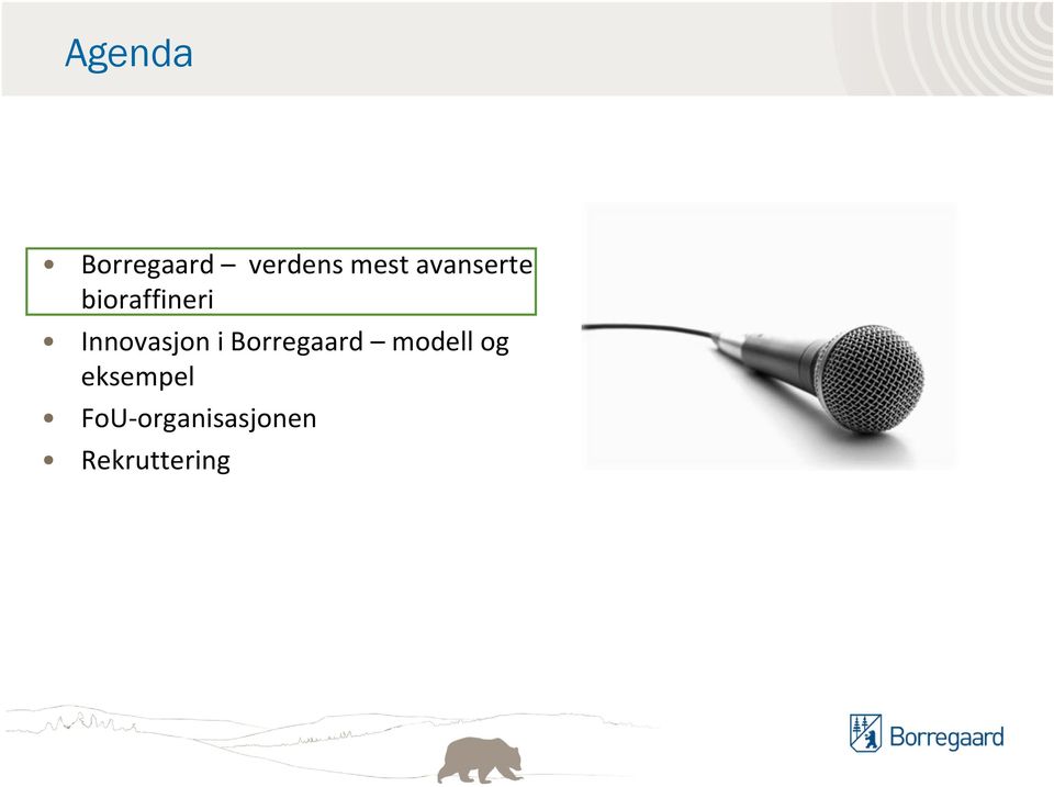 Innovasjon i Borregaard modell