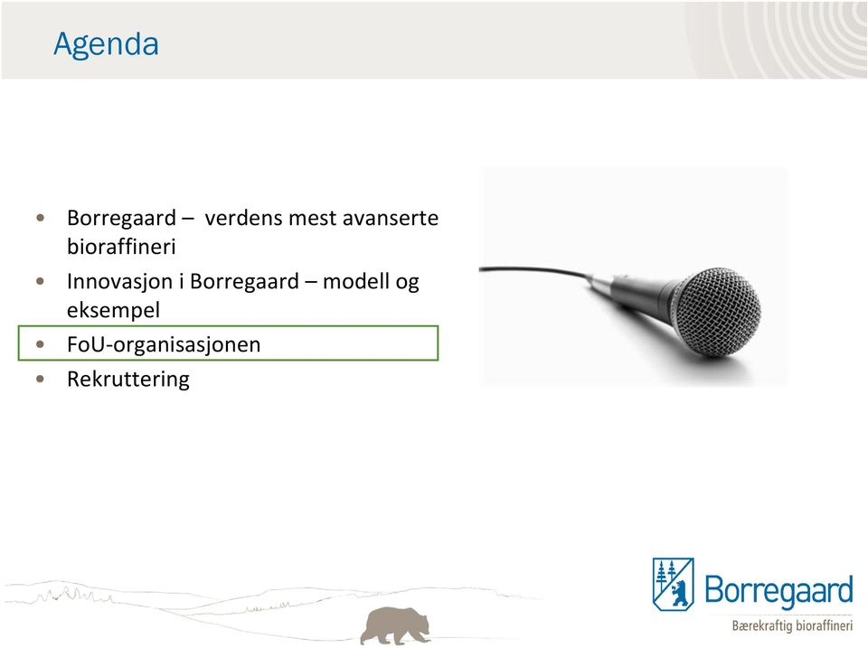 Innovasjon i Borregaard modell