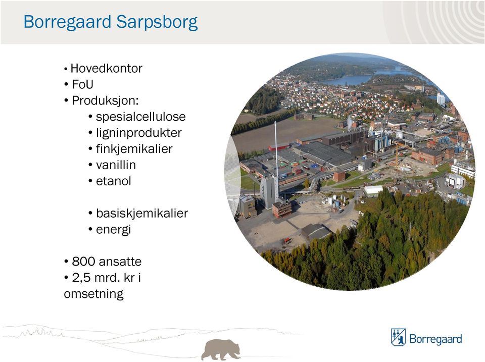 ligninprodukter finkjemikalier vanillin