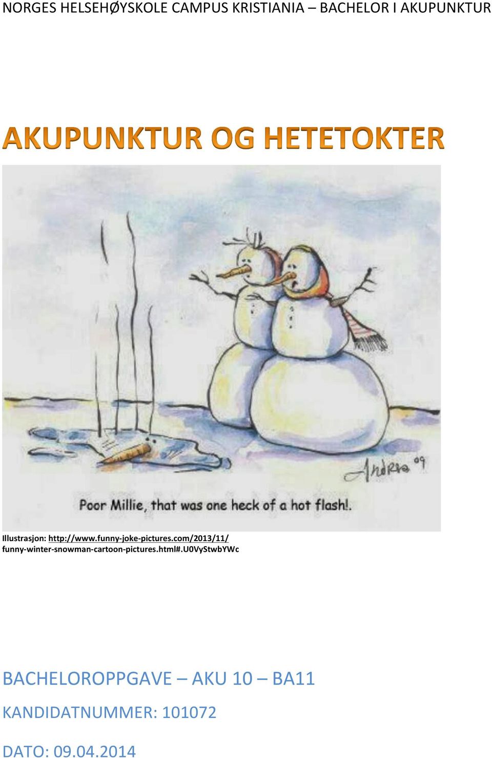 com/2013/11/ funny- winter- snowman- cartoon- pictures.html#.