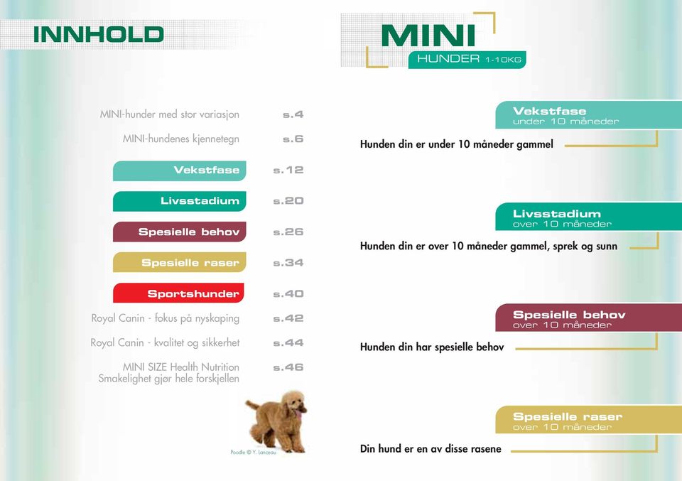 34 Livsstadium over 10 måneder Hunden din er over 10 måneder gammel, sprek og sunn Sportshunder s.40 Royal Canin - fokus på nyskaping s.