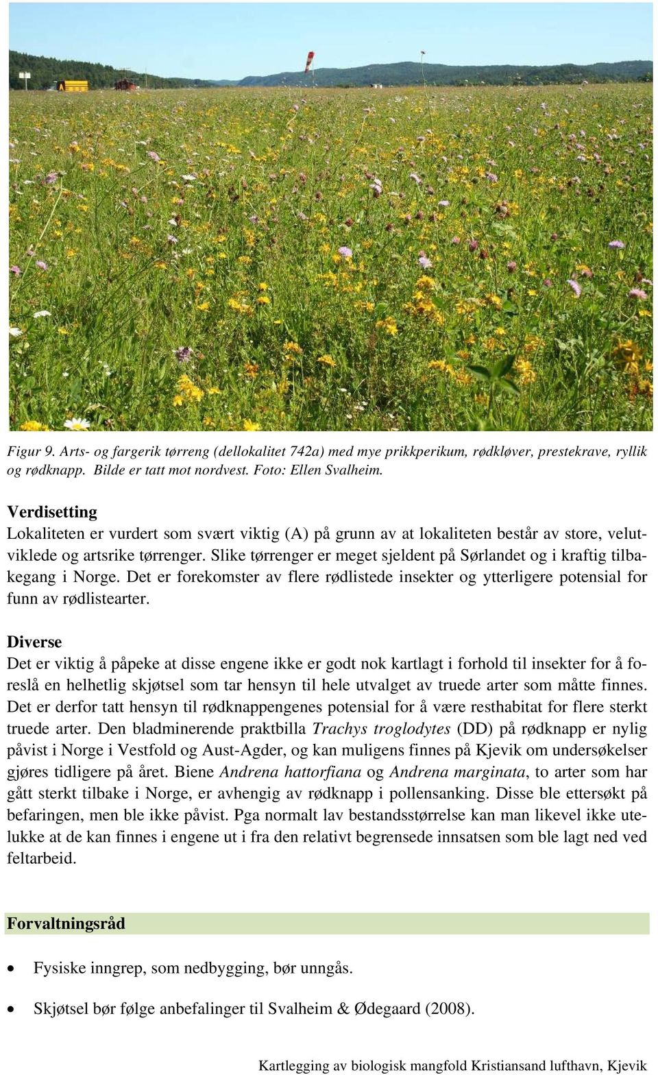 Slike tørrenger er meget sjeldent på Sørlandet og i kraftig tilbakegang i Norge. Det er forekomster av flere rødlistede insekter og ytterligere potensial for funn av rødlistearter.