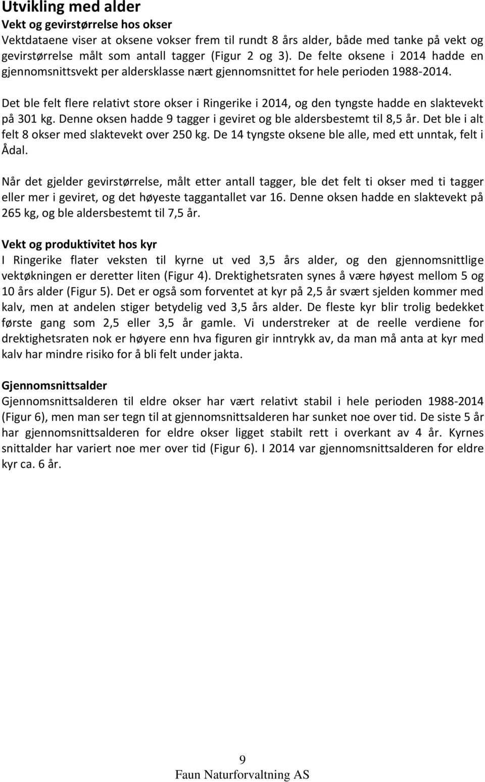 Det ble felt flere relativt store okser i Ringerike i 2014, og den tyngste hadde en slaktevekt på 301 kg. Denne oksen hadde 9 tagger i geviret og ble aldersbestemt til 8,5 år.