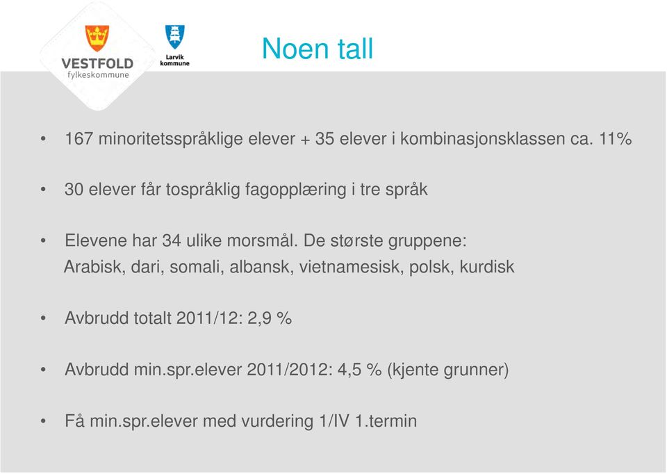 De største gruppene: Arabisk, dari, somali, albansk, vietnamesisk, polsk, kurdisk Avbrudd