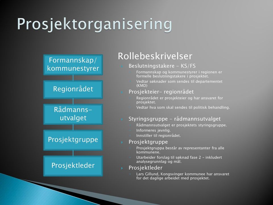 Vedtar hva som skal sendes til politisk behandling. Styringsgruppe - rådmannsutvalget Rådmannsutvalget er prosjektets styringsgruppe. Informeres jevnlig. Innstiller til regionrådet.