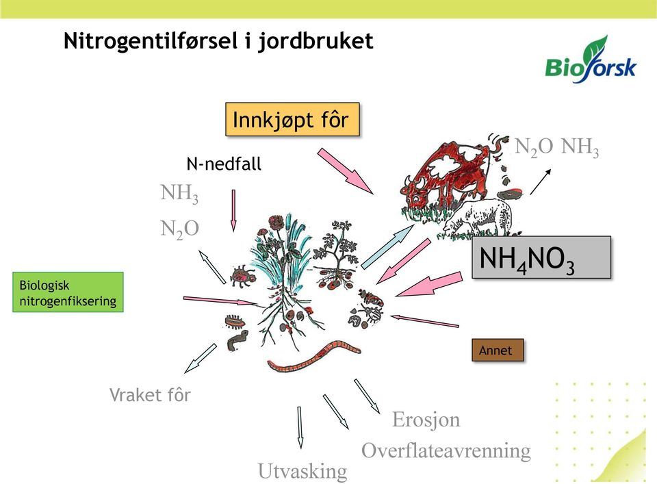 Biologisk nitrogenfiksering NH NO 3 Annet