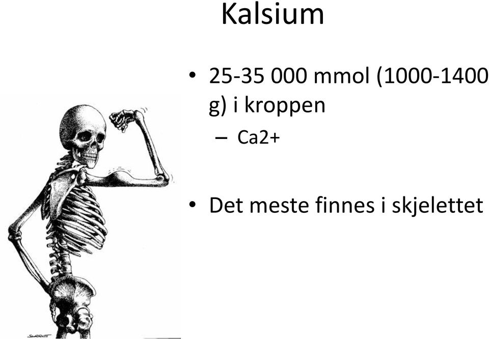 kroppen Ca2+ Det