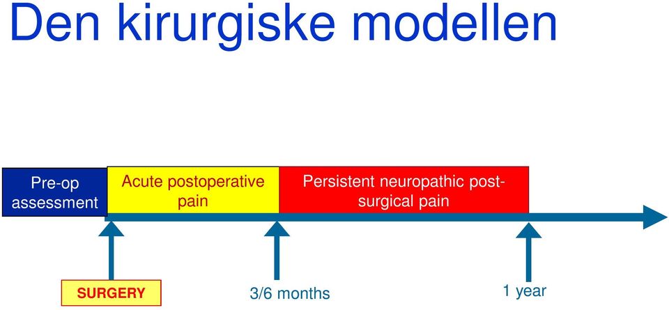 pain Persistent neuropathic