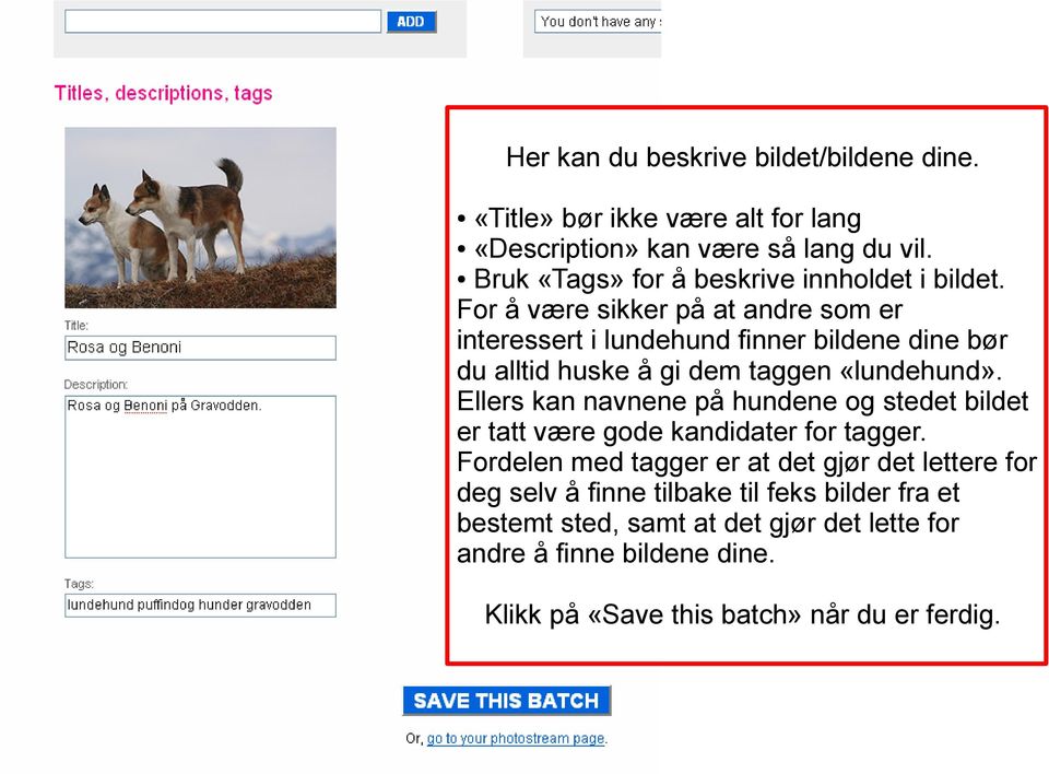 For å være sikker på at andre som er interessert i lundehund finner bildene dine bør du alltid huske å gi dem taggen «lundehund».