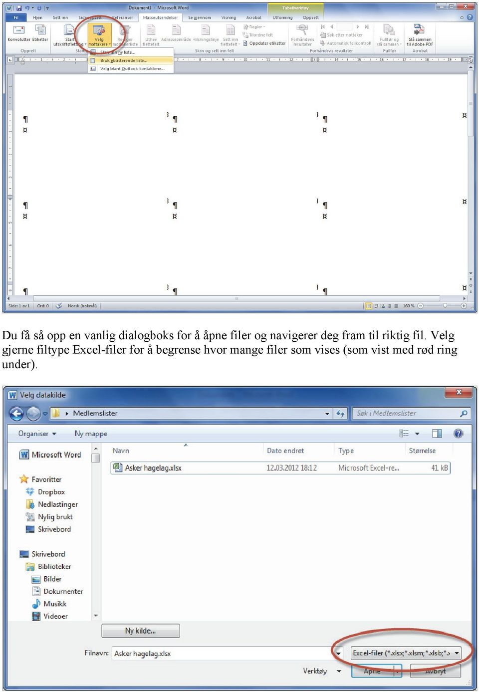 Velg gjerne filtype Excel-filer for å begrense