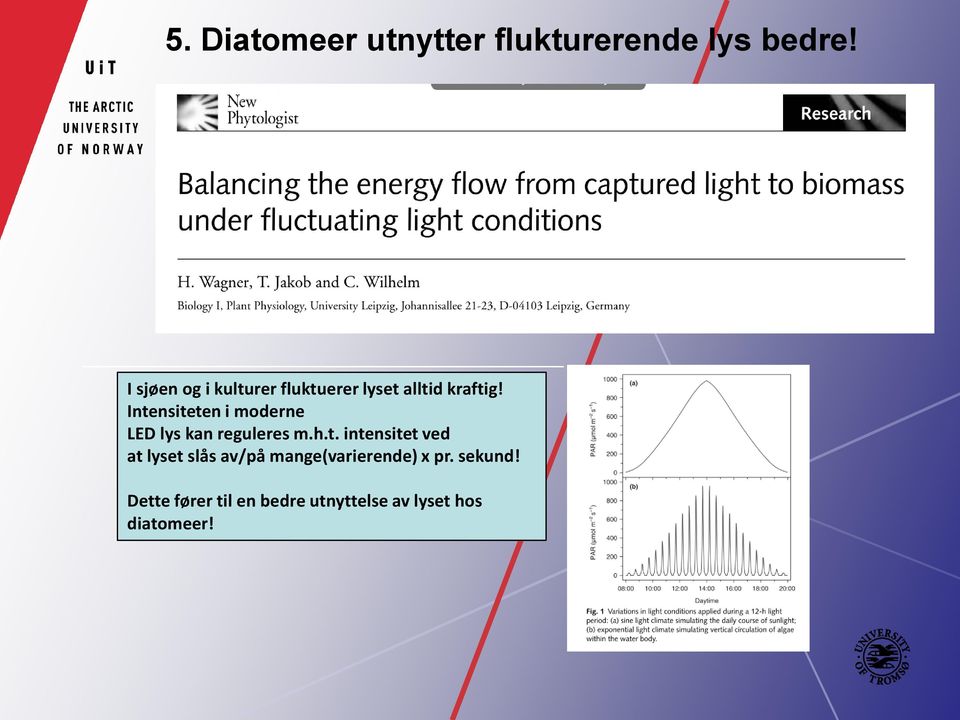 Intensiteten i moderne LED lys kan reguleres m.h.t. intensitet ved at lyset slås av/på mange(varierende) x pr.