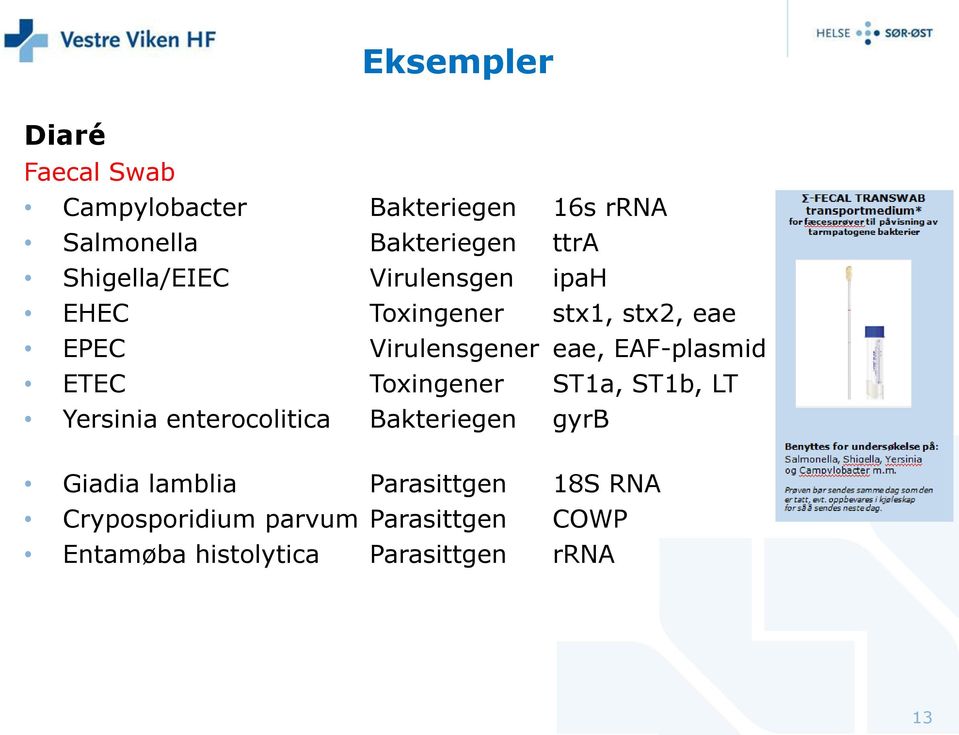 EAF-plasmid ETEC Toxingener ST1a, ST1b, LT Yersinia enterocolitica Bakteriegen gyrb Giadia