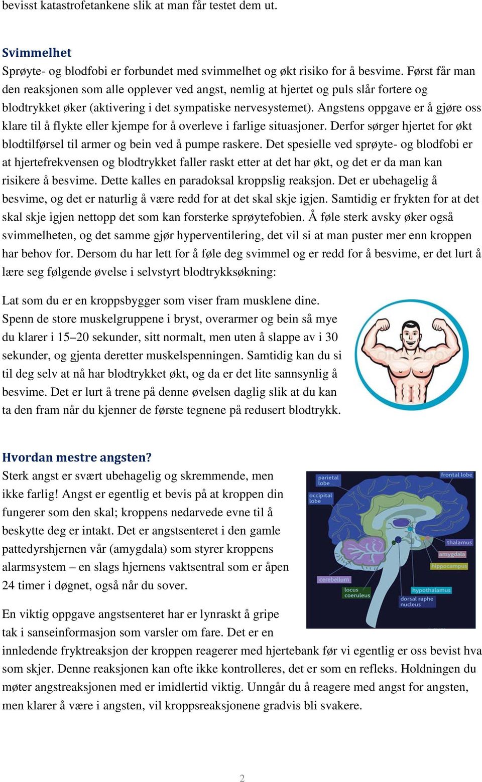 Angstens oppgave er å gjøre oss klare til å flykte eller kjempe for å overleve i farlige situasjoner. Derfor sørger hjertet for økt blodtilførsel til armer og bein ved å pumpe raskere.