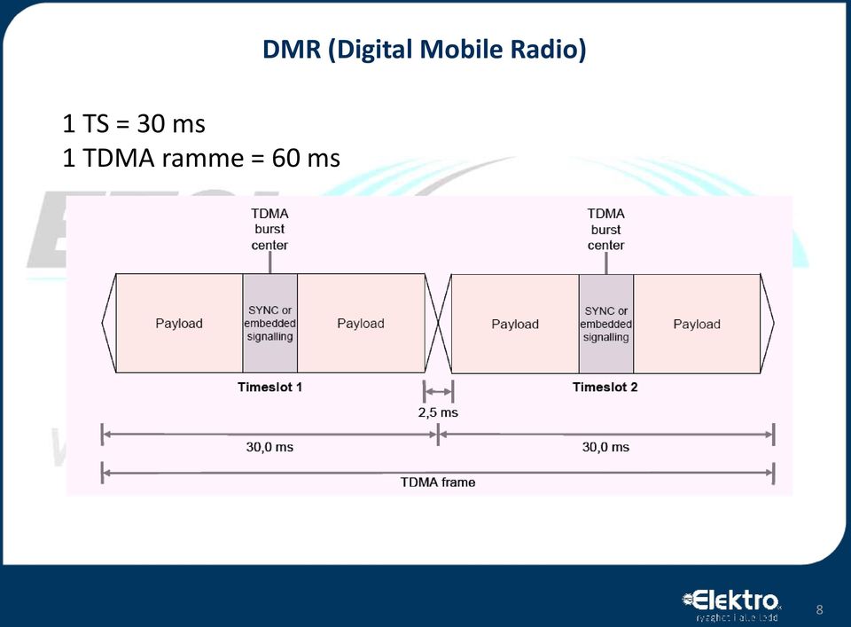 ms DMR (Digital