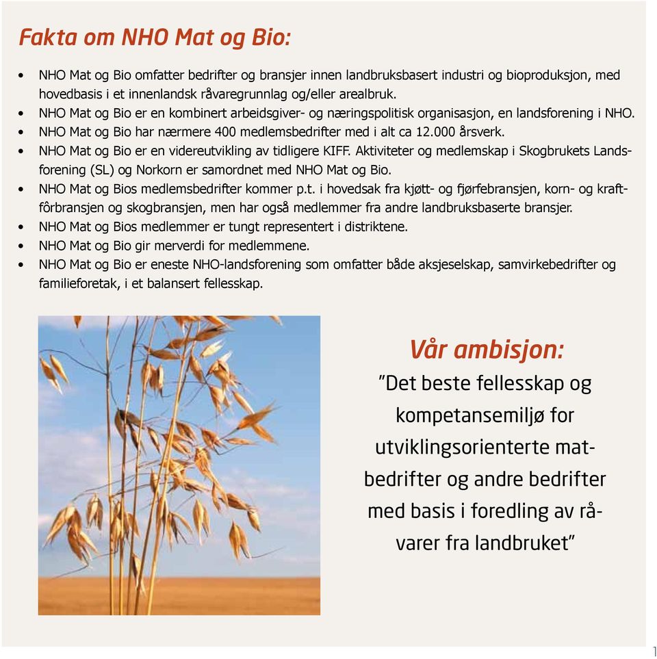 NHO Mat og Bio er en videreutvikling av tidligere KIFF. Aktiviteter og medlemskap i Skogbrukets Landsforening (SL) og Norkorn er samordnet med NHO Mat og Bio.