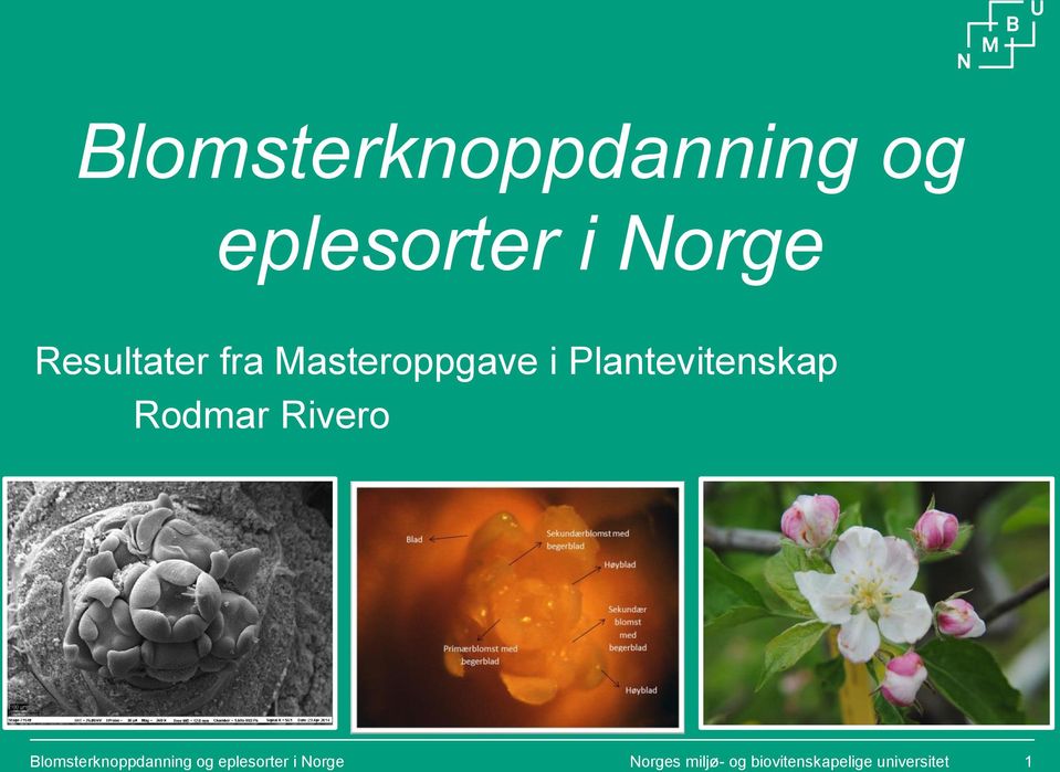Rodmar Rivero  Norges miljø- og