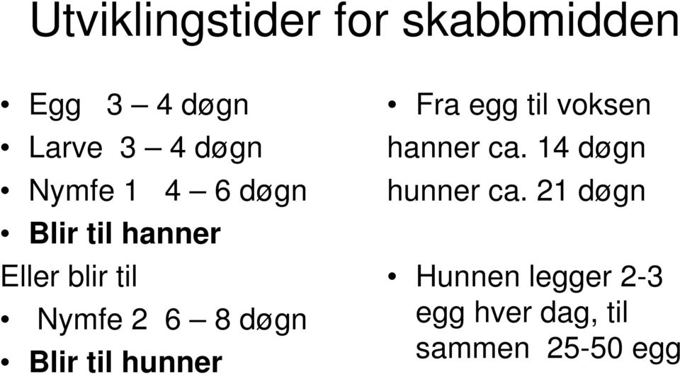 døgn Blir til hunner Fra egg til voksen hanner ca.