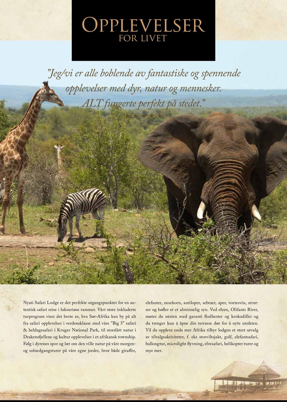 Vårt store inkluderte turprogram viser det beste av, hva Sør-Afrika kan by på alt fra safari opplevelser i verdensklasse med våre Big 5 safari & heldagssafari i Kruger National Park, til storslått