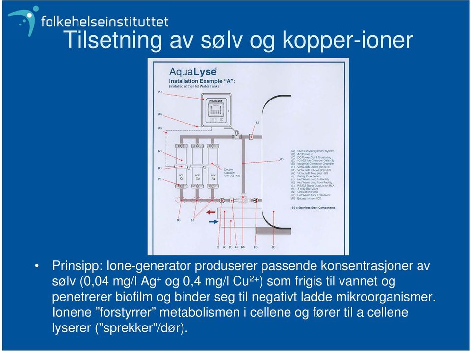 vannet og penetrerer biofilm og binder seg til negativt ladde mikroorganismer.