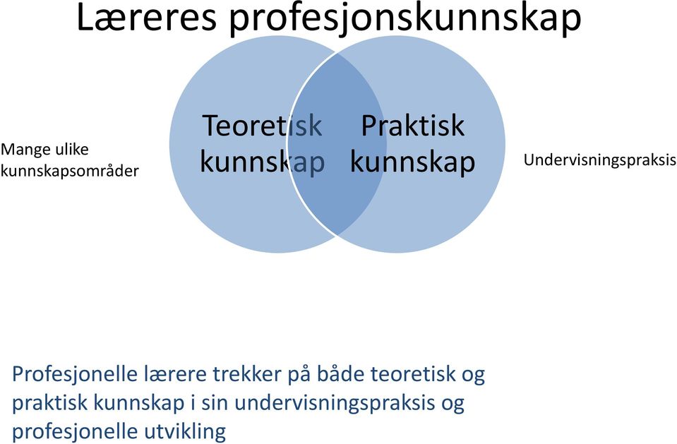 Profesjonelle lærere trekker på både teoretisk og praktisk