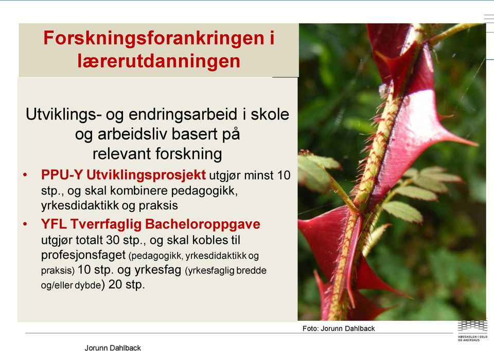 , og skal kombinere pedagogikk, yrkesdidaktikk og praksis YFL Tverrfaglig Bacheloroppgave utgjør totalt 30