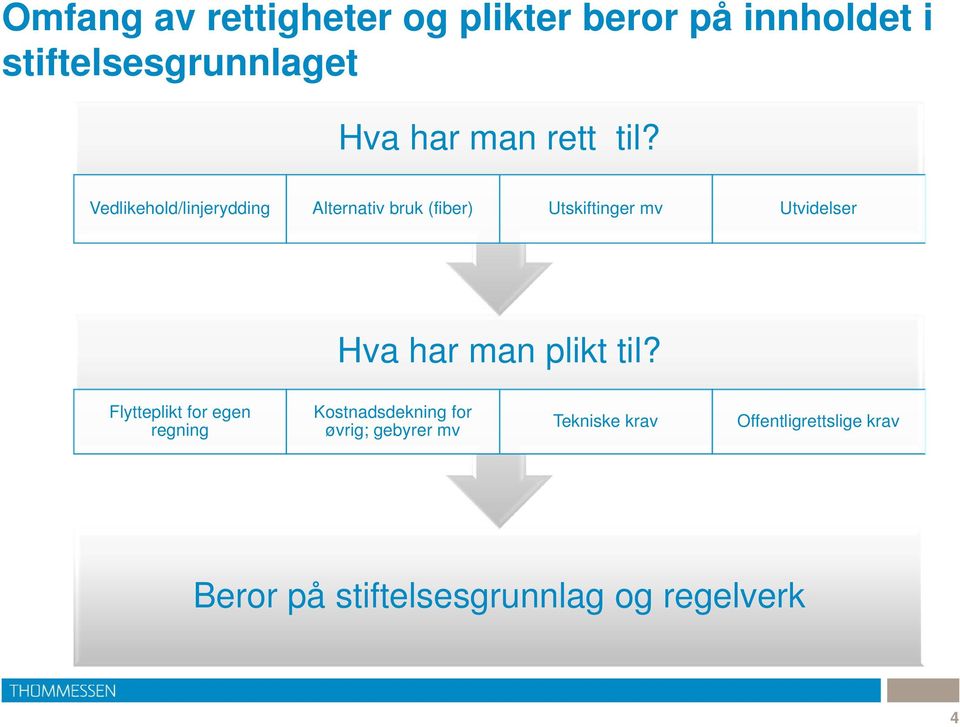 Vedlikehold/linjerydding Alternativ bruk (fiber) Utskiftinger mv Utvidelser Hva har